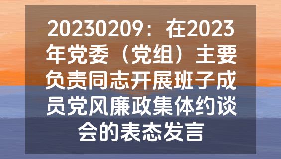 20230209：在2023年党委（党组）主要负责同志开展班子成员党风廉政集体约谈会的表态发言