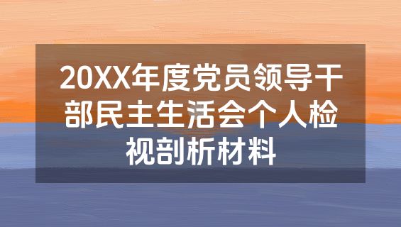 20XX年度党员领导干部民主生活会个人检视剖析材料