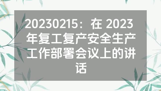 20230215：在 2023 年复工复产安全生产工作部署会议上的讲话
