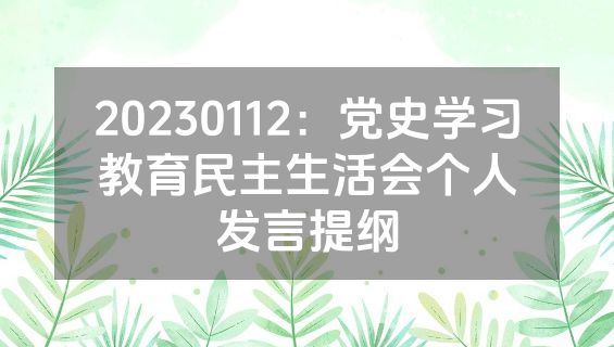 20230112：党史学习教育民主生活会个人发言提纲