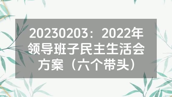 20230203：2022年领导班子民主生活会方案（六个带头）