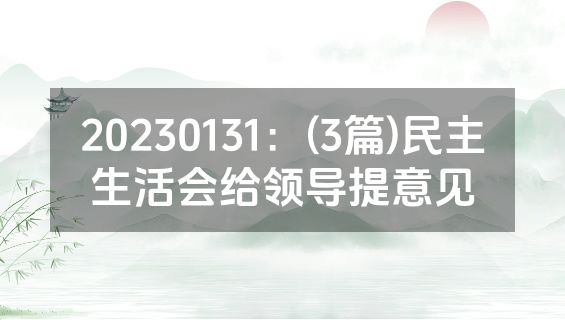 20230131：(3篇)民主生活会给领导提意见