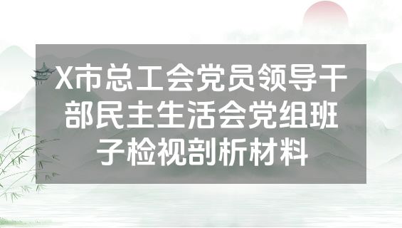 X市总工会党员领导干部民主生活会党组班子检视剖析材料