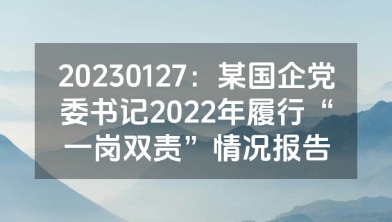 20230127：某国企党委书记2022年履行“一岗双责”情况报告