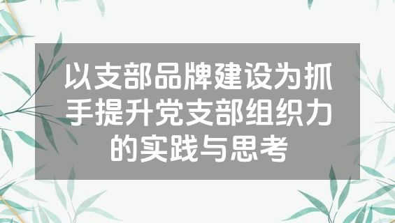 以支部品牌建设为抓手提升党支部组织力的实践与思考