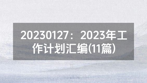 20230127：2023年工作计划汇编(11篇)