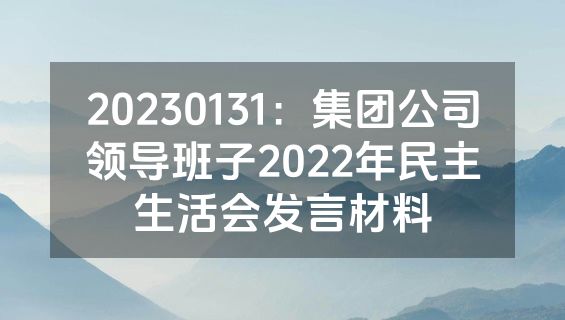 20230131：集团公司领导班子2022年民主生活会发言材料