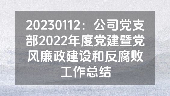 20230112：公司党支部2022年度党建暨党风廉政建设和反腐败工作总结