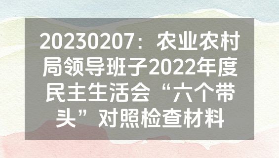 20230207：农业农村局领导班子2022年度民主生活会“六个带头”对照检查材料