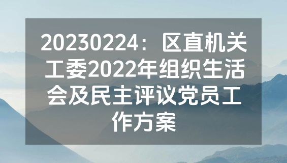 20230224：区直机关工委2022年组织生活会及民主评议党员工作方案
