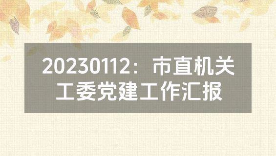 20230112：市直机关工委党建工作汇报