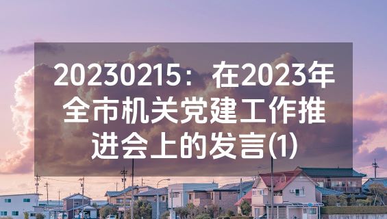 20230215：在2023年全市机关党建工作推进会上的发言(1)