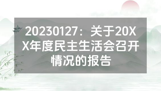 20230127：关于20XX年度民主生活会召开情况的报告
