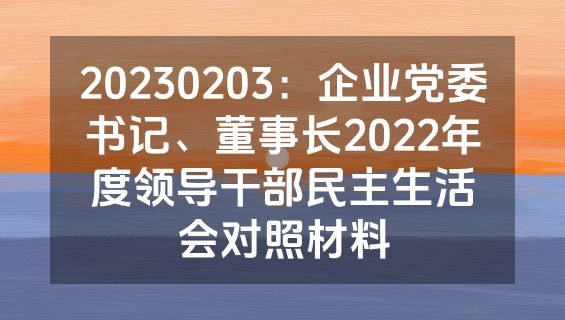 20230203：企业党委书记、董事长2022年度领导干部民主生活会对照材料