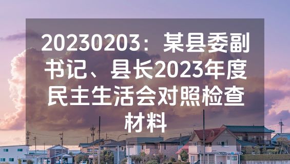 20230203：某县委副书记、县长2023年度民主生活会对照检查材料
