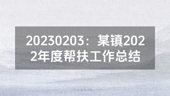 20230203：某镇2022年度帮扶工作总结