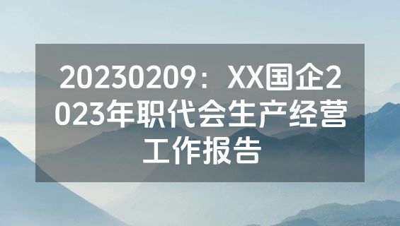 20230209：XX国企2023年职代会生产经营工作报告