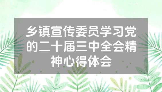 乡镇宣传委员学习党的二十届三中全会精神心得体会