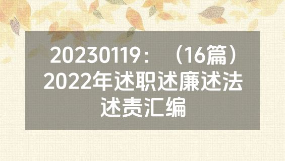 20230119：（16篇）2022年述职述廉述法述责汇编