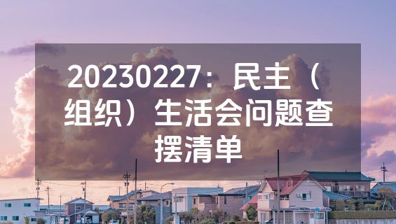 20230227：民主（ 组织）生活会问题查摆清单