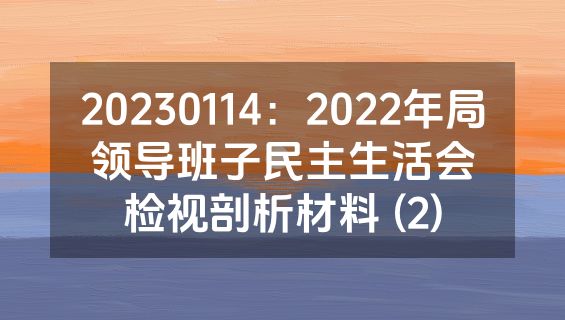 20230114：2022年局领导班子民主生活会检视剖析材料 (2)