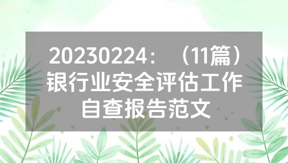 20230224：（11篇）银行业安全评估工作自查报告范文