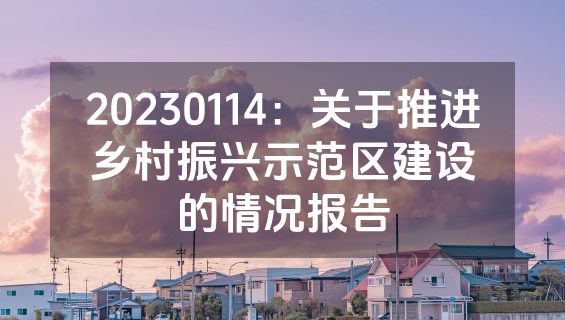 20230114：关于推进乡村振兴示范区建设的情况报告
