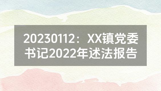 20230112：XX镇党委书记2022年述法报告