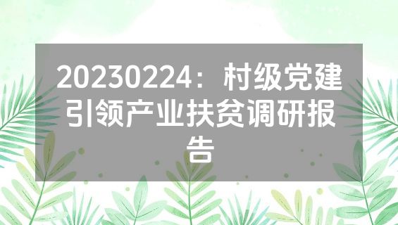 20230224：村级党建引领产业扶贫调研报告