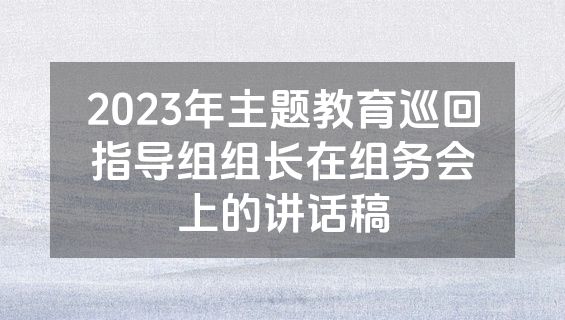 2023年主题教育巡回指导组组长在组务会上的讲话稿
