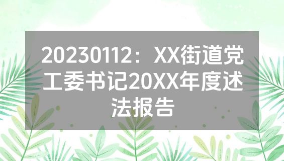 20230112：XX街道党工委书记20XX年度述法报告