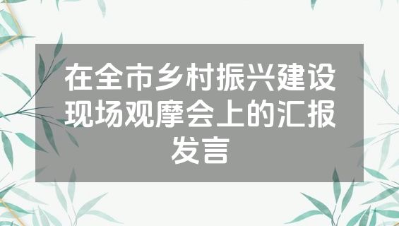 在全市乡村振兴建设现场观摩会上的汇报发言