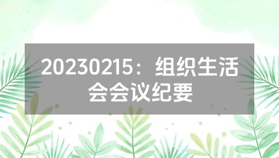 20230215：组织生活会会议纪要