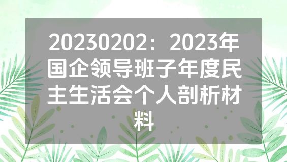 20230202：2023年国企领导班子年度民主生活会个人剖析材料