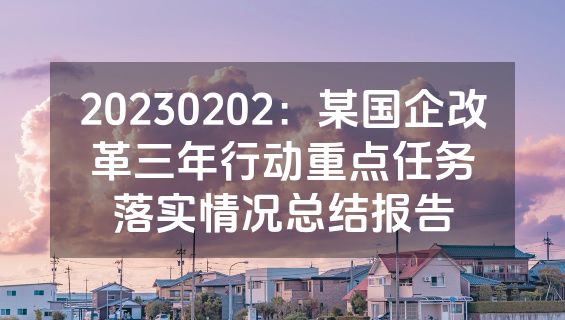 20230202：某国企改革三年行动重点任务落实情况总结报告