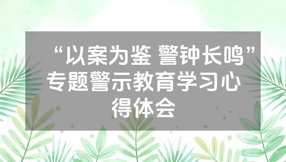 “以案为鉴 警钟长鸣”专题警示教育学习心得体会