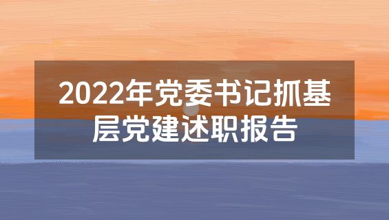 2022年党委书记抓基层党建述职报告