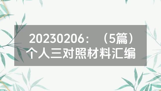 20230206：（5篇）个人三对照材料汇编