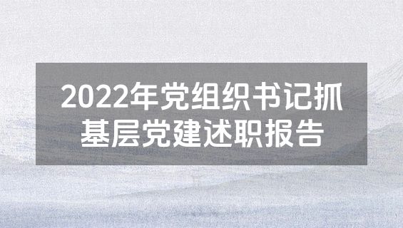 2022年党组织书记抓基层党建述职报告