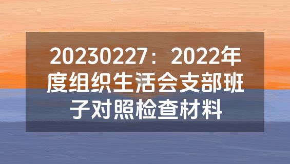 20230227：2022年度组织生活会支部班子对照检查材料