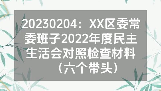 20230204：XX区委常委班子2022年度民主生活会对照检查材料（六个带头）