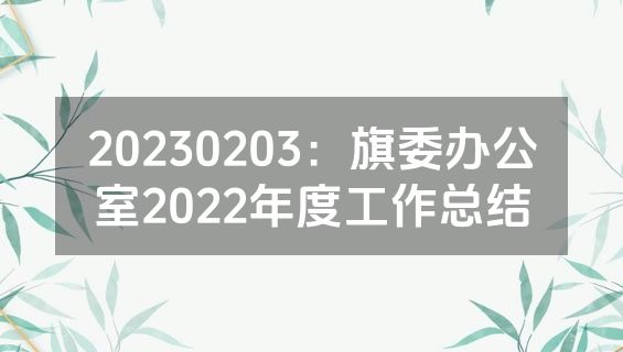 20230203：旗委办公室2022年度工作总结