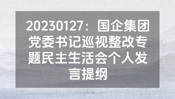 20230127：国企集团党委书记巡视整改专题民主生活会个人发言提纲