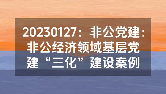 20230127：非公党建：非公经济领域基层党建“三化”建设案例