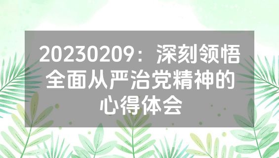20230209：深刻领悟全面从严治党精神的心得体会