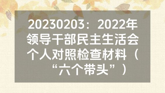20230203：2022年领导干部民主生活会个人对照检查材料（“六个带头”）