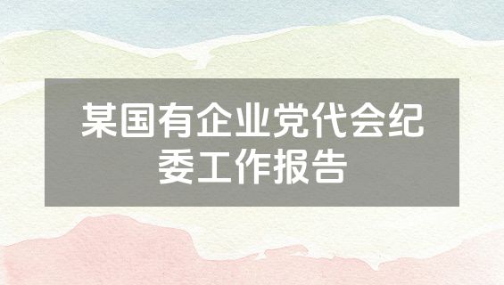 某国有企业党代会纪委工作报告