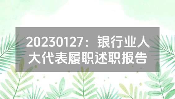 20230127：银行业人大代表履职述职报告