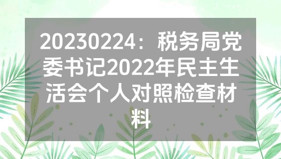 20230224：税务局党委书记2022年民主生活会个人对照检查材料