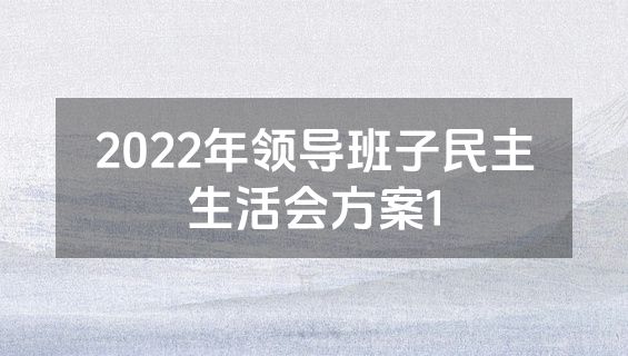 2022年领导班子民主生活会方案1